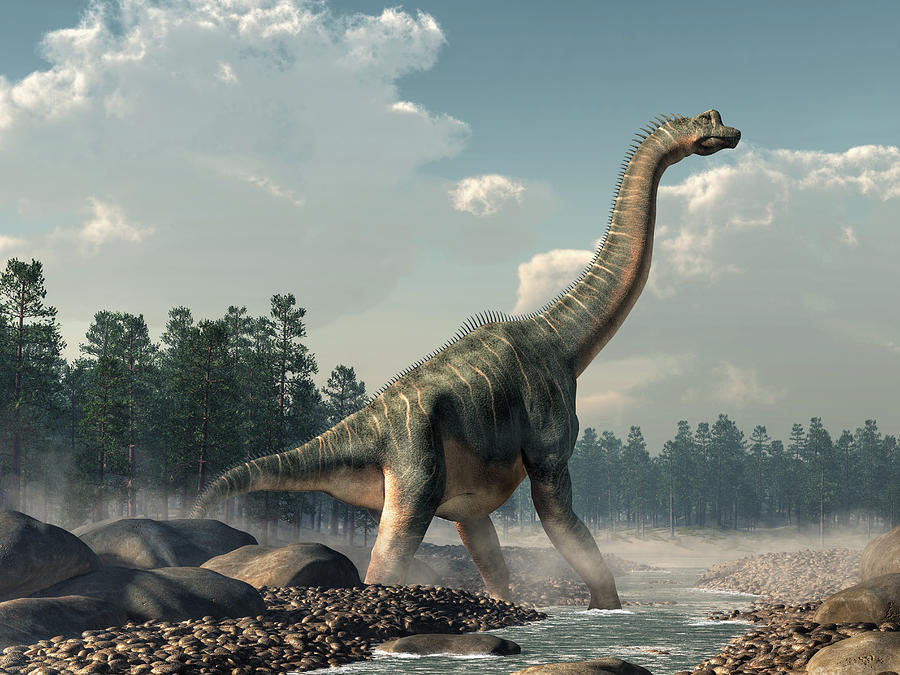 Brachiosaurus – Everything You Need To Know