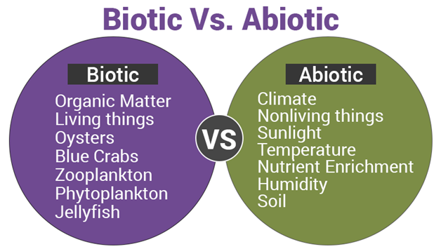 Biotic And Abiotic Factors In An Environment